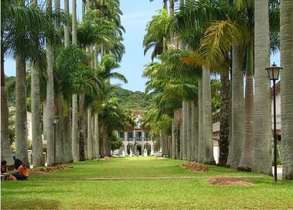 Seletiva em Joinville - SC