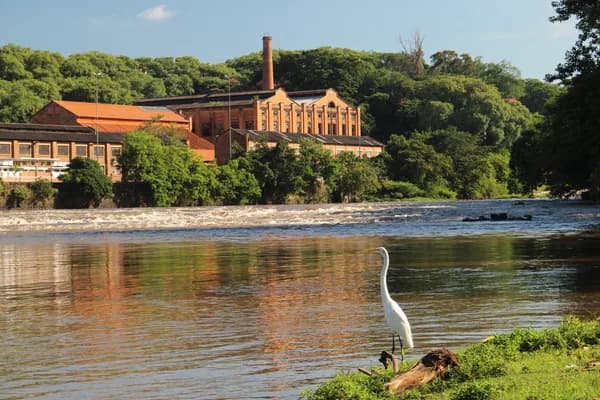 Seletiva em Piracicaba - SP